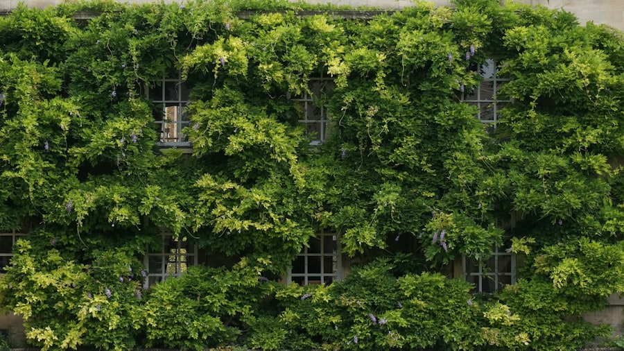 Sustainability report