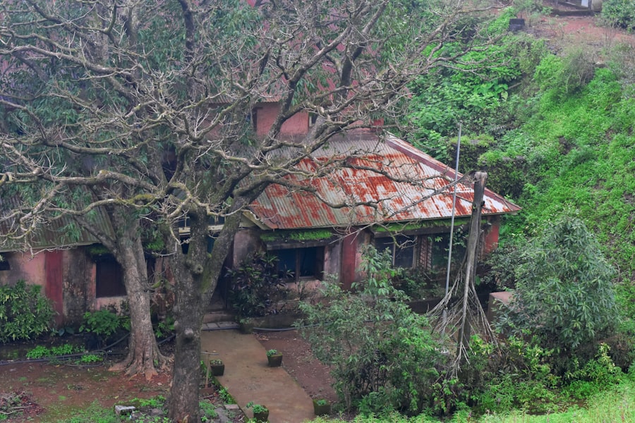 Treehouse Stay