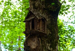 Quirky Homestays: South India’s Offbeat Experiences