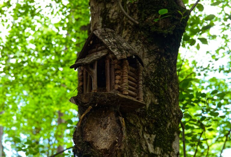 Quirky Homestays: South India’s Offbeat Experiences
