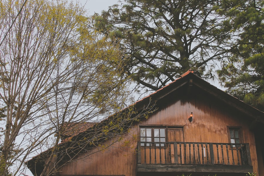 Photo Treehouse Stay